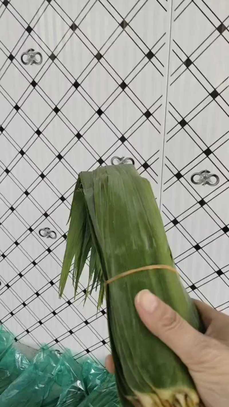 苇叶天然苇叶现摘现发产地直供一手货源欢迎咨询