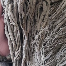 当归精品品质保证服务周到产地直发价格美丽