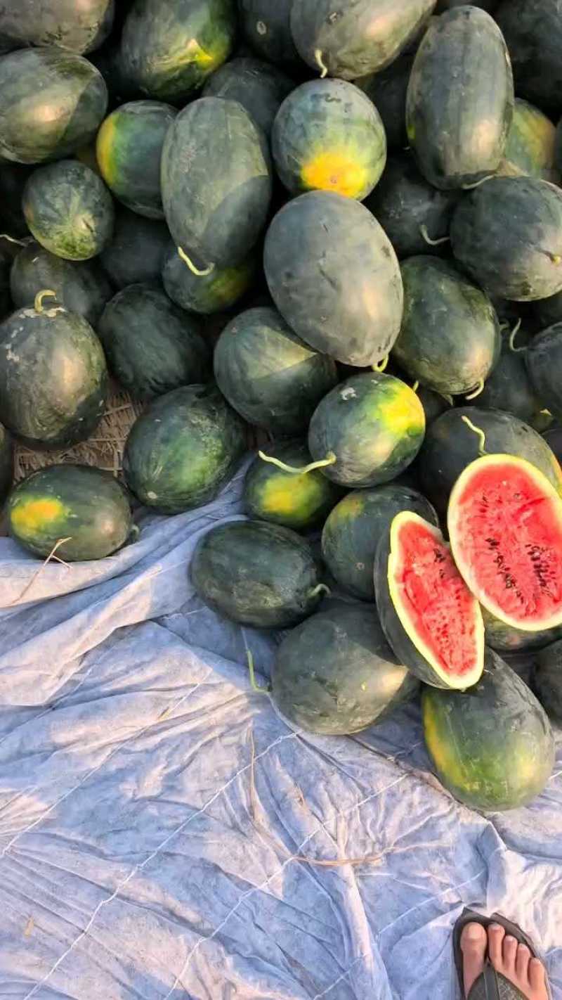 黑美人大量上市，口感清甜可口，皮毛靓，瓜型好。