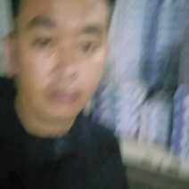 云南高山纯甜花香蓝莓