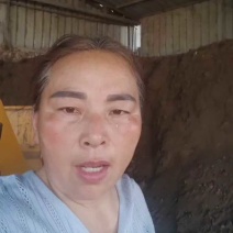 发酵干鸡粪农家肥，纯鸡粪，晾晒在发酵腐熟，适合各种农作物