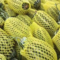 【博洋甜瓜】山东原产地直供脆甜多汁一手价格承接电商商超