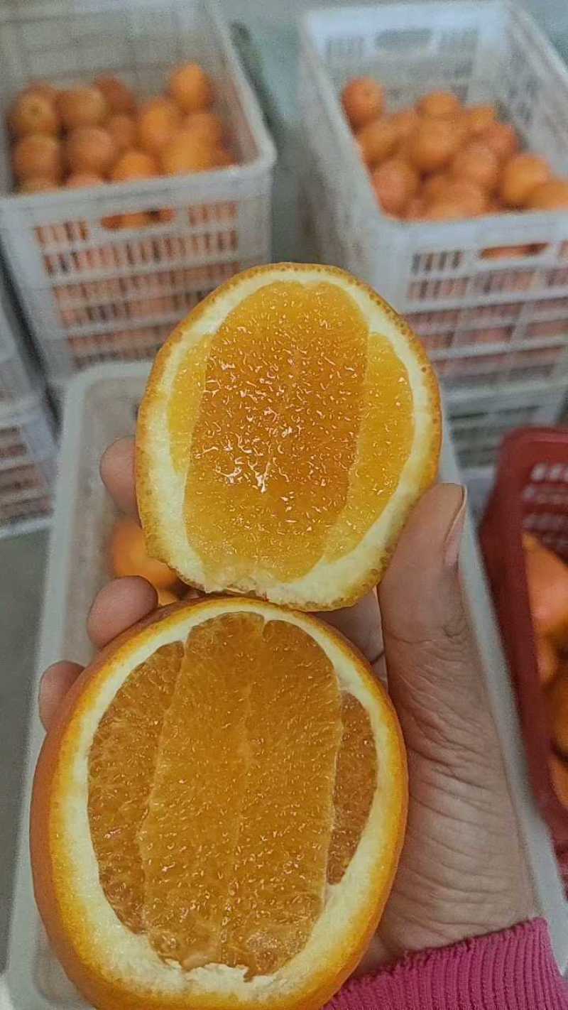伦晚脐橙春橙纯甜化喳树上鲜果先摘现发质量保证坏果包赔