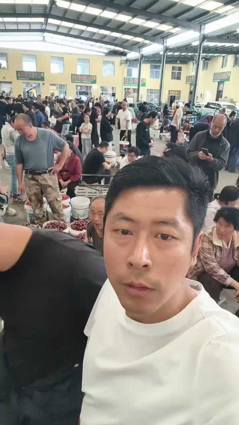 山东大樱桃特大美早新鲜采摘人工甄选原产地发货整箱发货