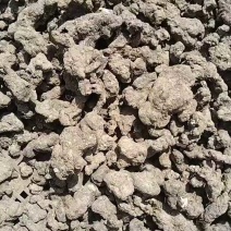 陕西家种猪苓，个子均匀无泥沙晒干，规格齐全。