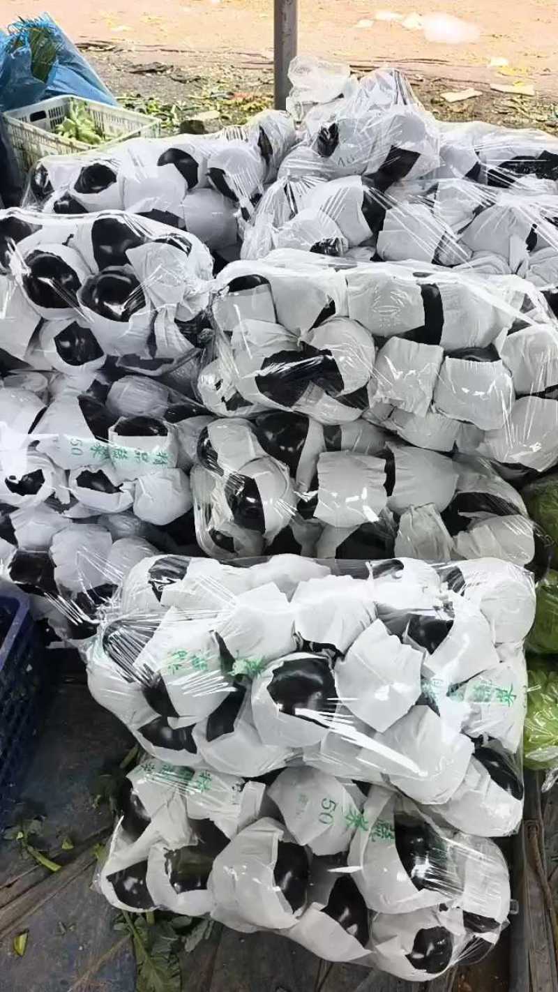 河南精品紫光圆茄茄子供应电商市场商超加工厂质量保证
