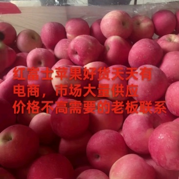 优质红富士苹果《产地直供》规格齐全价格实惠保质量全国发货