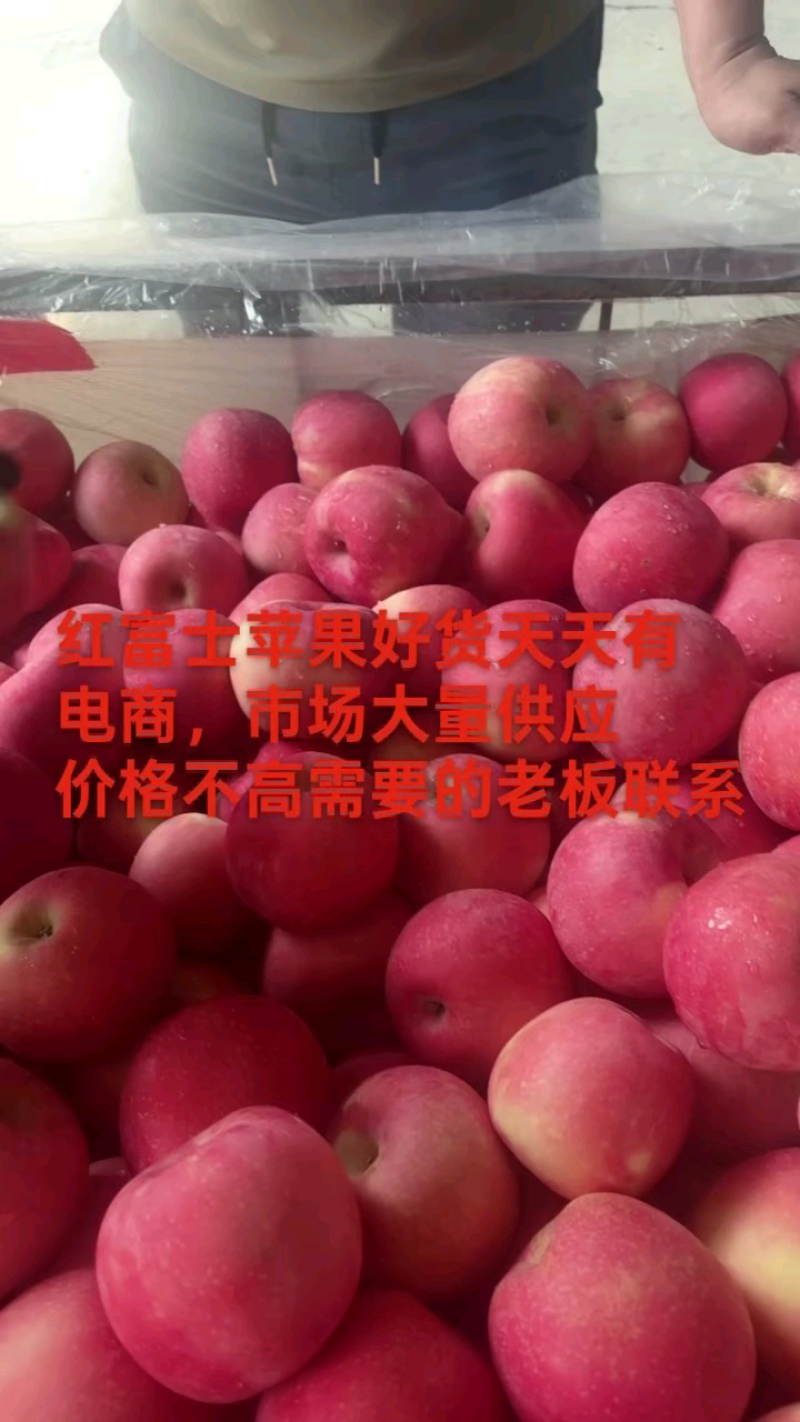 优质红富士苹果《产地直供》规格齐全价格实惠保质量全国发货