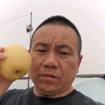 皇冠梨，河北皇冠梨，大量现货，果面干净，口感甜汁水多。