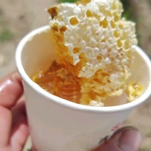 自家养的土蜂蜜