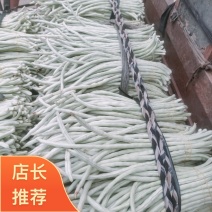 广西南宁横县白豆角大量上市～欢迎各位大佬老板来可批发