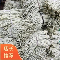 广西南宁横县白豆角大量上市欢迎全国采购商老板批发价优