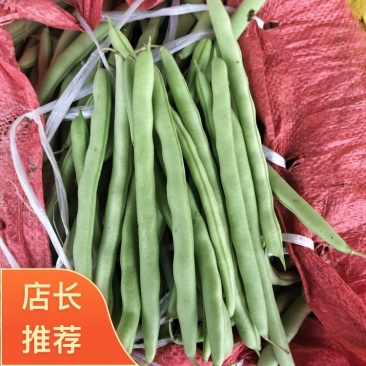 广西南宁横县四季豆大量上市支持市场货电商货欢迎定购