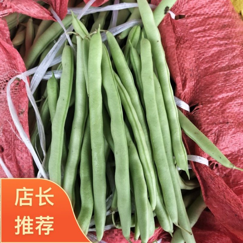 广西南宁横县四季豆大量上市支持市场货电商货欢迎定购