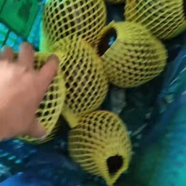 《推荐》山东茄子【紫光黑圆茄】批发商超产地直发价格便宜