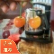 2026泰安市黄蜜樱桃一手货源直发品种齐全精品果