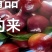 中油四号大果，日供万斤，正在打包！