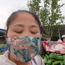 新品二泡椒上市，一块八，颜色个头好！