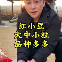 黑龙江大庆市林甸县农家自产精品珍珠红小豆，