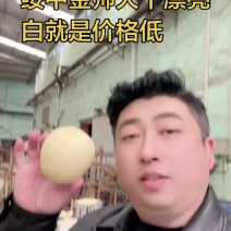 辽宁省绥中县黄元帅苹果金帅苹果8月20号开始订购
