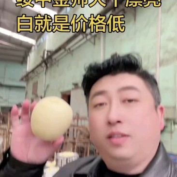 辽宁省绥中县黄元帅苹果金帅苹果8月20号开始订购