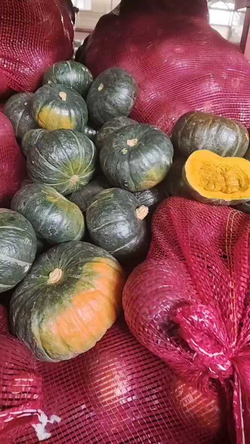 昌乐贝贝南瓜精选高次果，批发价供应！