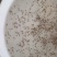 罗氏虾虾苗罗氏沼虾虾苗长臂虾淡水虾苗