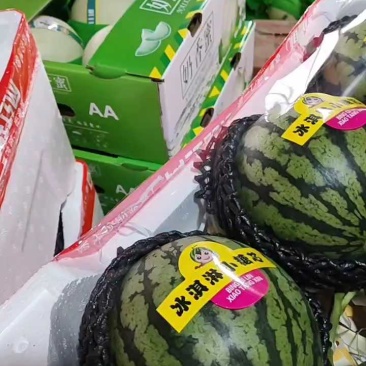 冰激凌玉菇甜瓜，大量供应，一手货源，对接各商超平台