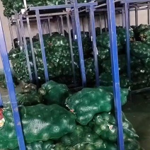 贝贝南瓜！大量供应！质量有保证！