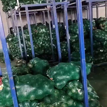 贝贝南瓜！大量供应！质量有保证！
