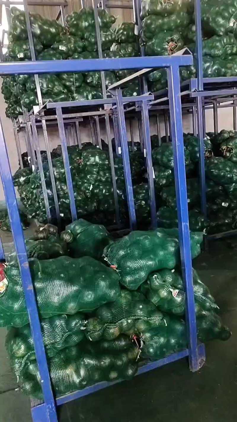 贝贝南瓜！大量供应！质量有保证！