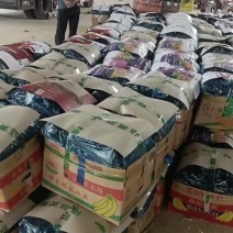 河南滑县密刺黄瓜价格优惠对接批发商档口电商欢迎咨询