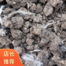 河南尉氏县直发发酵鸡粪有机肥五谷喂养厂家直销