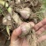 大蒜种植基地直发品质高价格优惠对接商超档口可发全国
