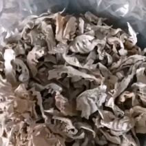 大笋干，厂家直发，大量有货，欢迎各位老板咨询采购