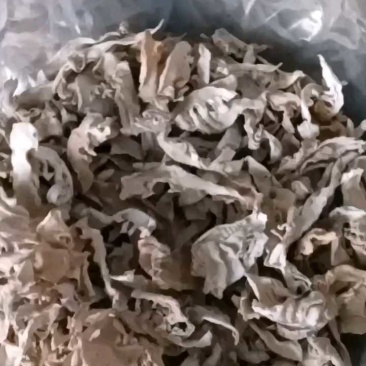 大笋干，厂家直发，大量有货，欢迎各位老板咨询采购