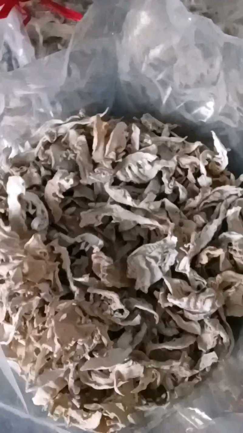 大笋干，厂家直发，大量有货，欢迎各位老板咨询采购