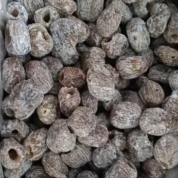 无核干蜜枣硬蜜无核厂家直供新品上市煮粥用