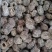无核干蜜枣硬蜜无核厂家直供新品上市煮粥用