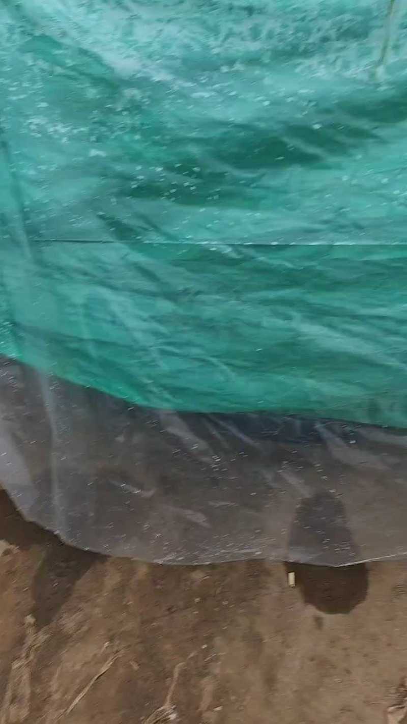 蒜薹中牟红帽蒜薹协助找车支持快运以诚为本量大从优