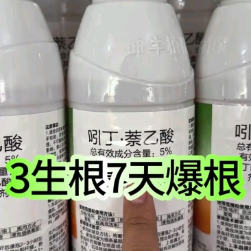 吲丁萘乙酸生根剂提高成活率移栽蔬菜果树苗木