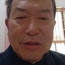 纸代富士和讹加膜红富士70以上