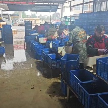潜江小龙虾产地一手货源鲜活小龙虾干净小中大硬规格全国包邮