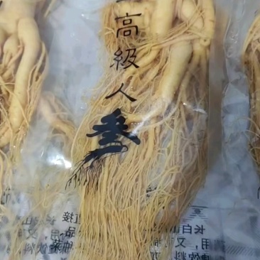 特别推荐精品大参王单支重200--500克无疤无锈须毛好