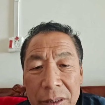 红薯粉条手工粉条，没有胶，试吃产品包邮