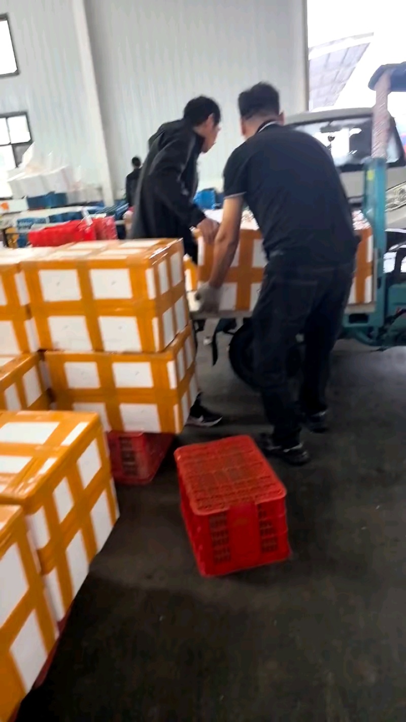 清水小龙虾，底板干净，肉质保满满，价格美丽，量大从优