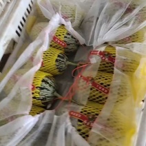 山东聊城博洋9612号，口感甜，花价2元多，货源充足。