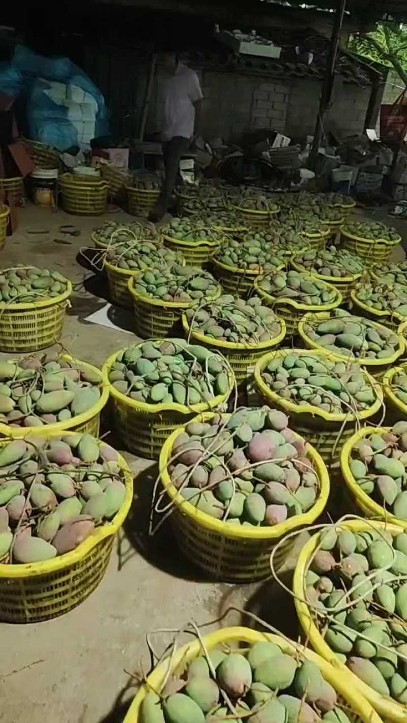 打包现场分级中，货量充足！