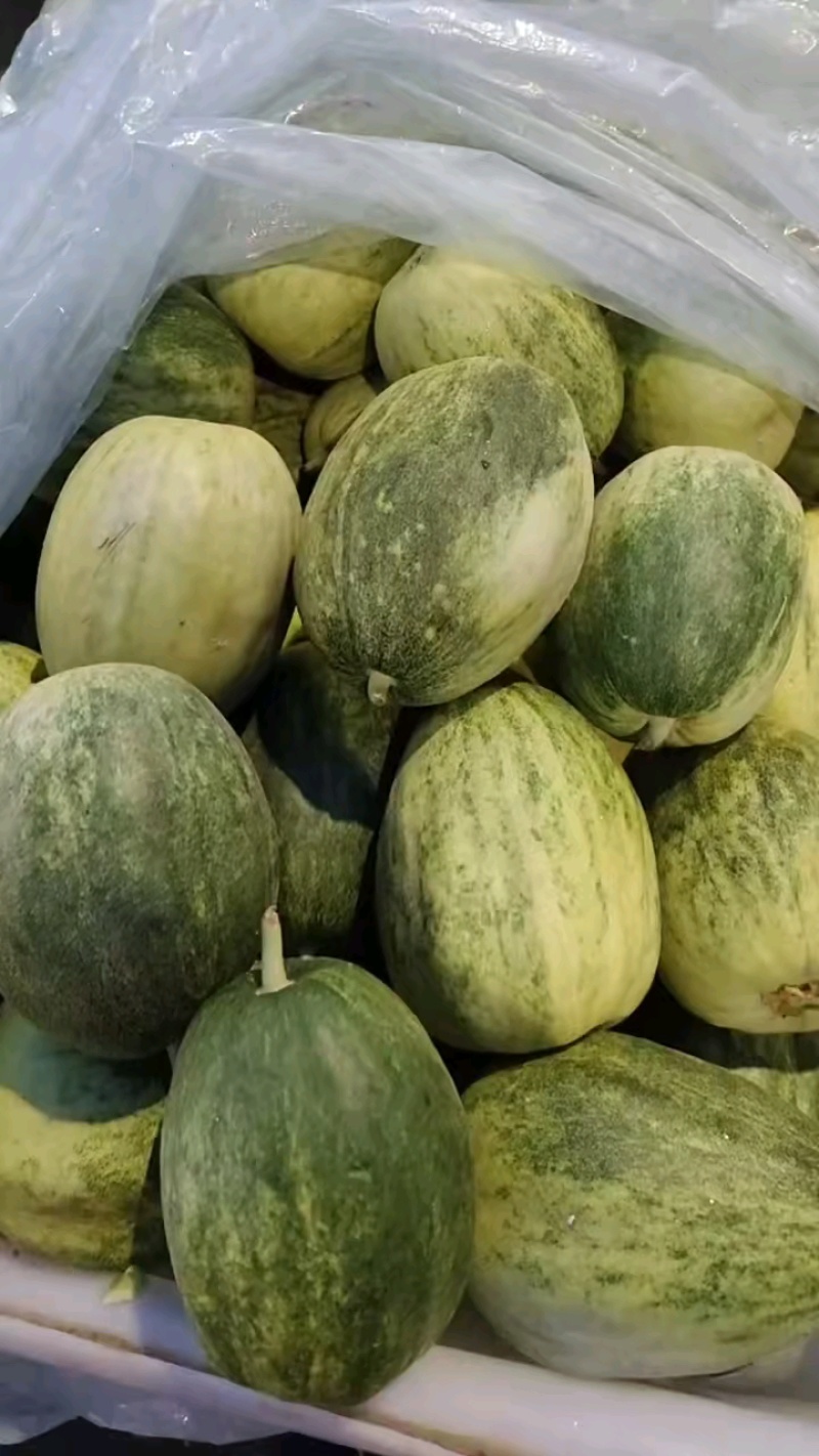 金冠！又称蜜糖馆！欢迎品尝选购！城信合作