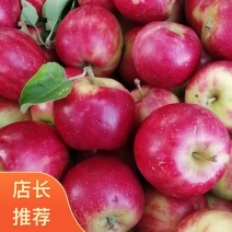 辽宁铁岭西丰县123苹果产地直发东北特产小苹果预售批发